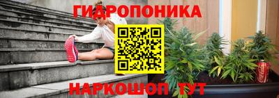 apvp Краснодар