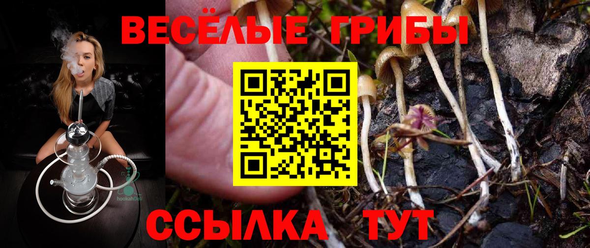Галлюциногенные грибы мицелий Камышин
