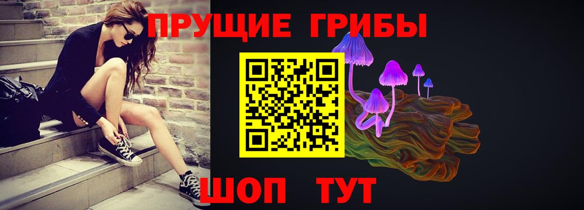 Псилоцибиновые грибы ЛСД  Псилоцибиновые грибы мицелий  Вход с VPN  Камышин 